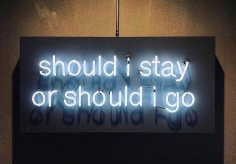 Welling Search Blog| should I stay